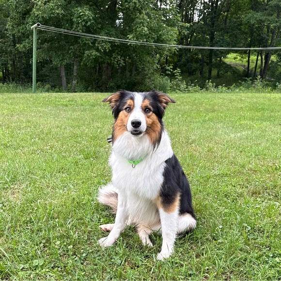 kgdwyer10